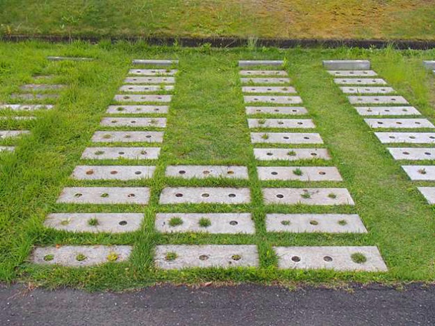 033 施工后草坪成长情况事俘（铺设实现4年后）.jpg